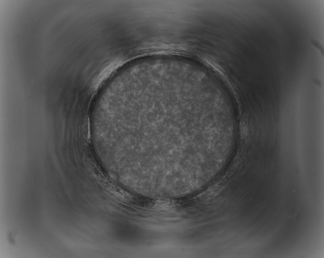 X0000100851267200807181048