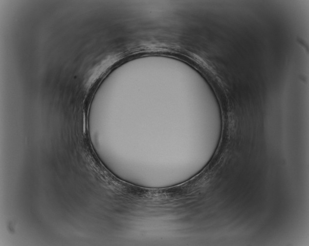 X0000100851269200807181048