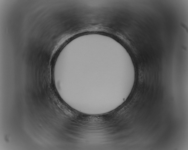 X0000100851270200807181048