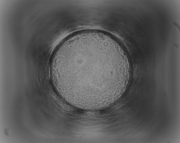 X0000100851271200807181048