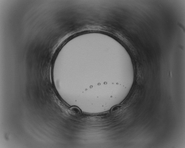 X0000100851272200807181048