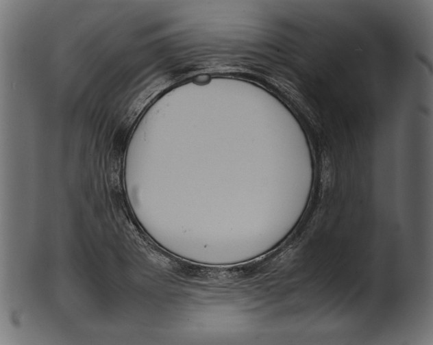 X0000100851273200807181048