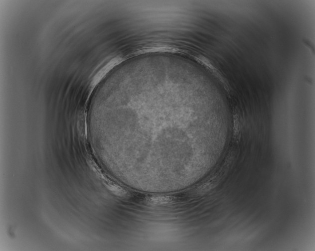 X0000100851274200807181048