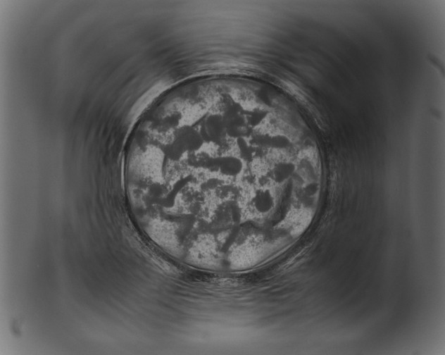 X0000100851275200807181048
