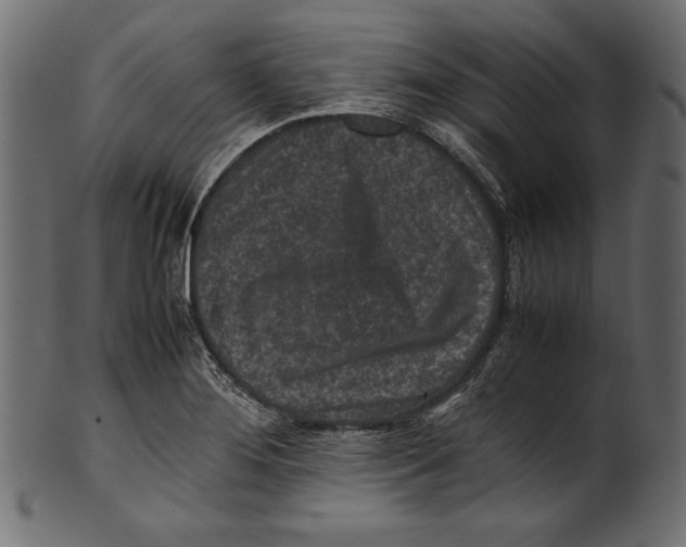 X0000100851276200807181048