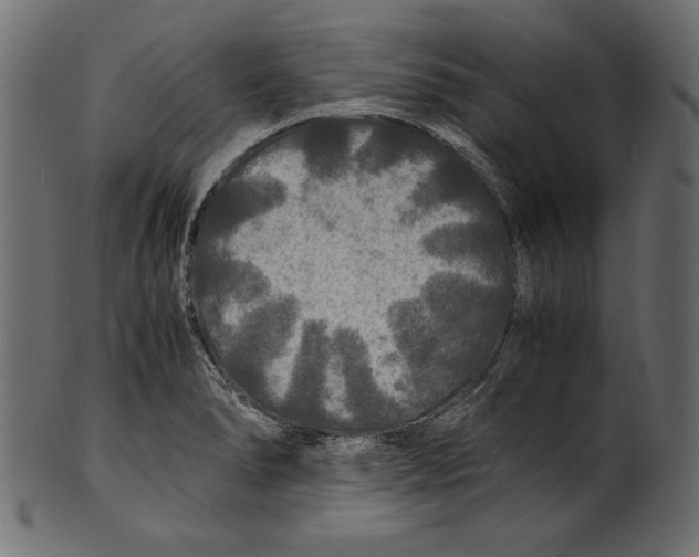 X0000100851278200807181048