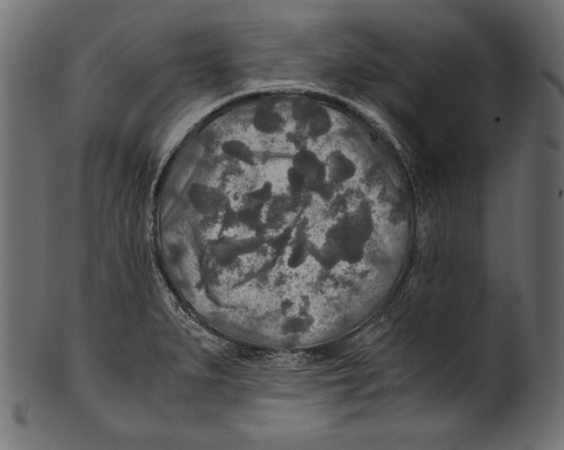 X0000100851279200807181048