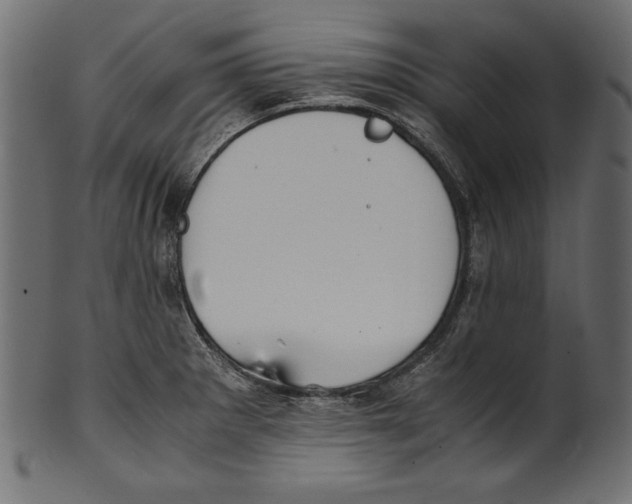 X0000100851281200807181048