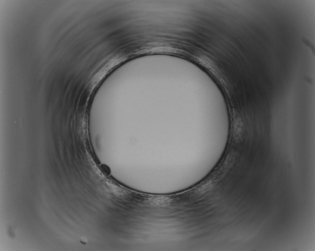 X0000100851282200807181048