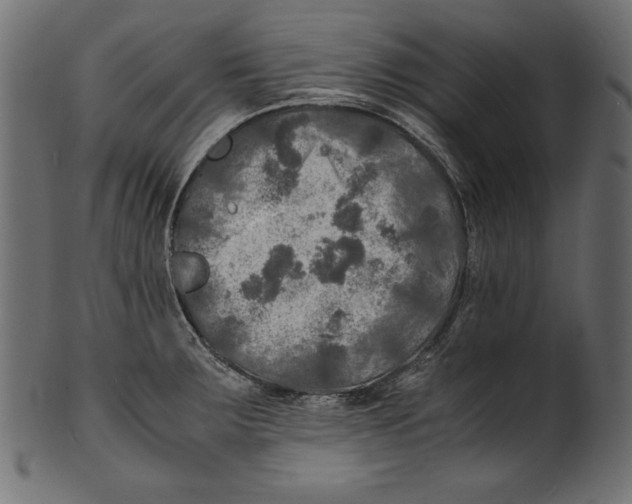 X0000100851283200807181048