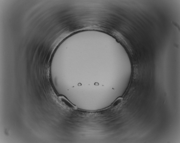 X0000100851284200807181048