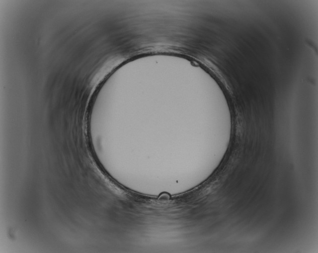 X0000100851285200807181048