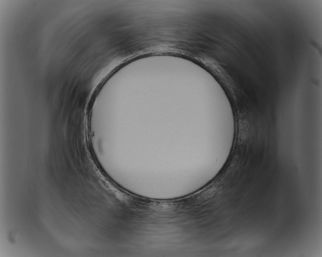 X0000100851286200807181048