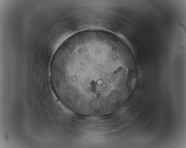 X0000100851287200807181048