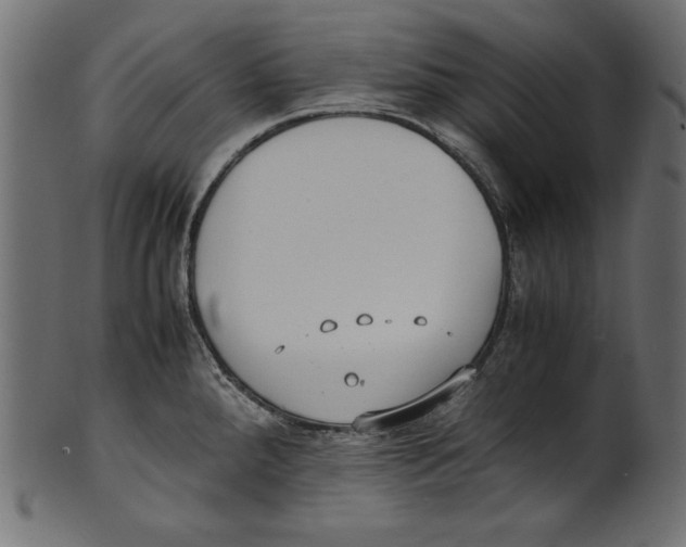 X0000100851288200807181048