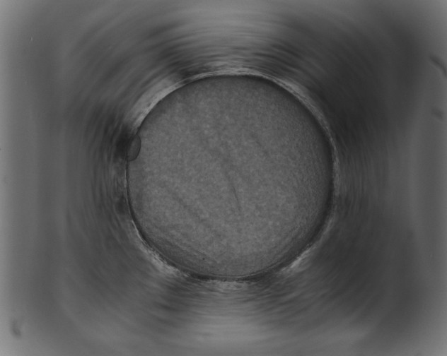 X0000100851289200807181048