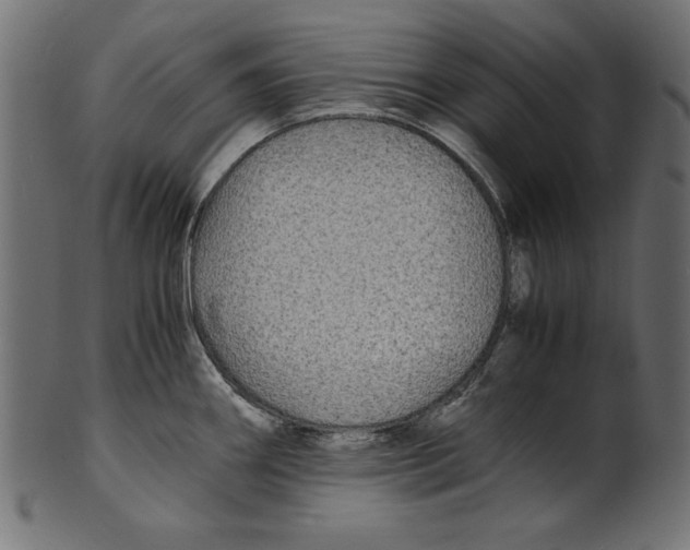 X0000100851290200807181048