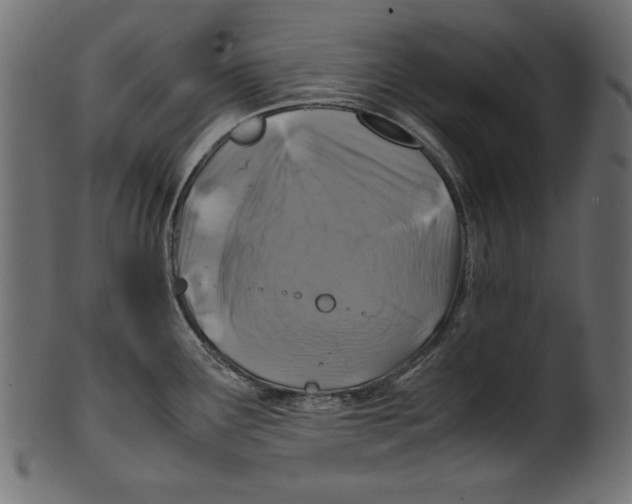 X0000100851291200807181048