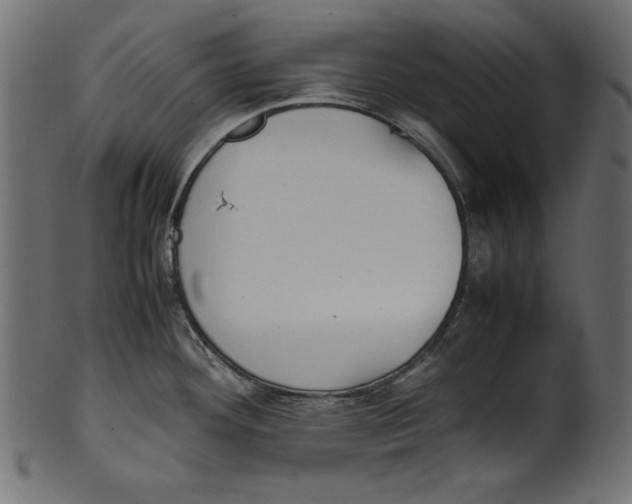 X0000100851292200807181048