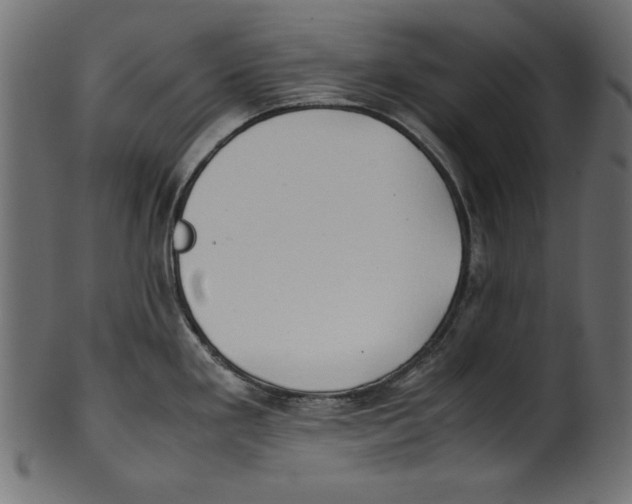 X0000100851293200807181048