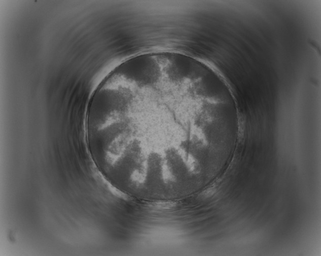 X0000100851294200807181048