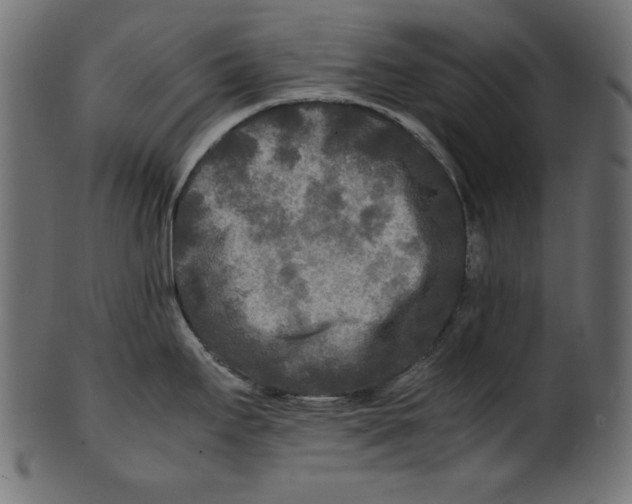 X0000100851295200807181048