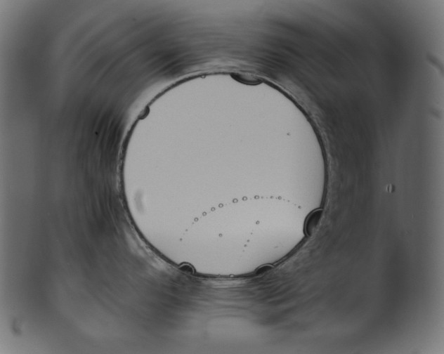 X0000100851296200807181048