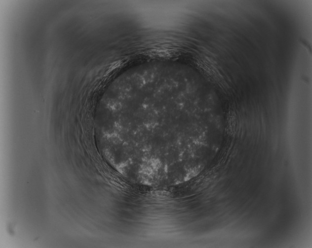 X0000100851297200807181047