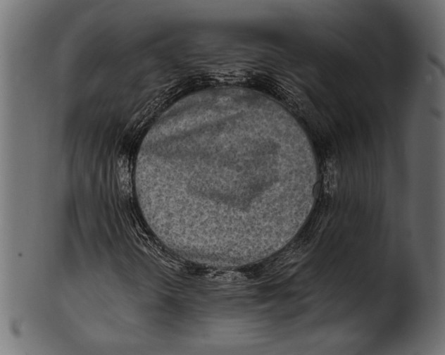 X0000100851298200807181047