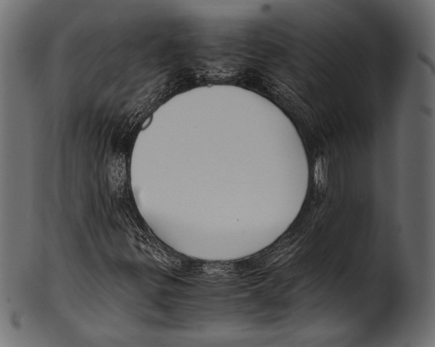 X0000100851299200807181047