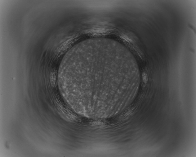 X0000100851300200807181047
