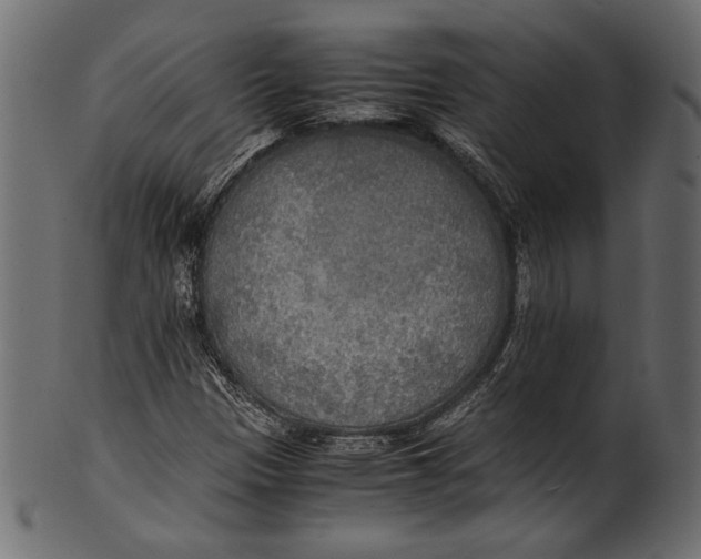 X0000100851305200807181047