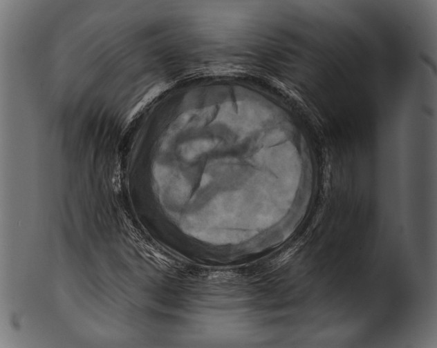 X0000100851306200807181047