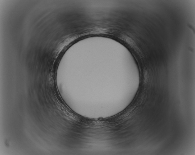 X0000100851308200807181047