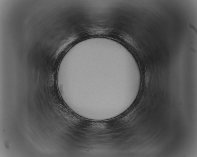 X0000100851309200807181047