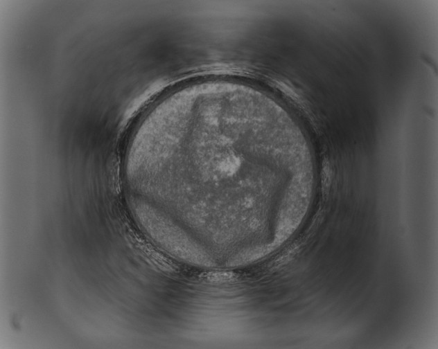 X0000100851310200807181047