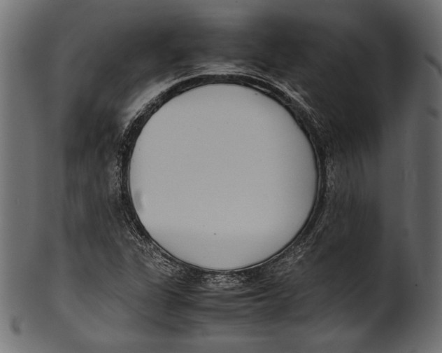 X0000100851311200807181047
