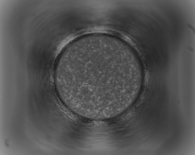 X0000100851312200807181047