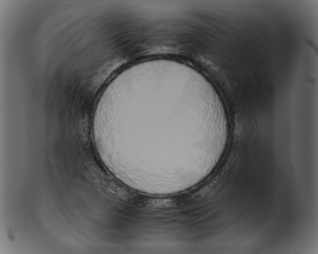 X0000100851313200807181047