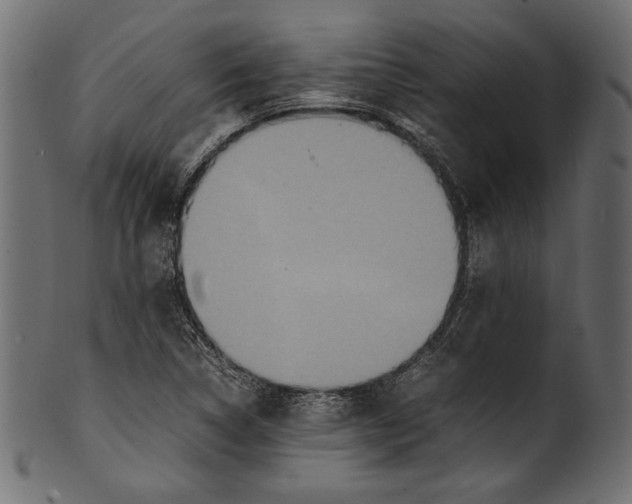 X0000100851314200807181047