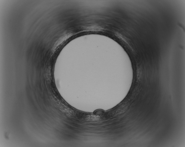X0000100851315200807181047