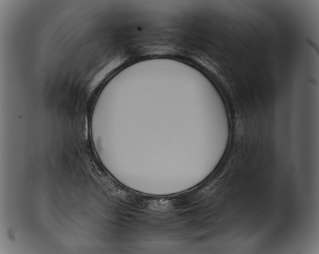 X0000100851317200807181047