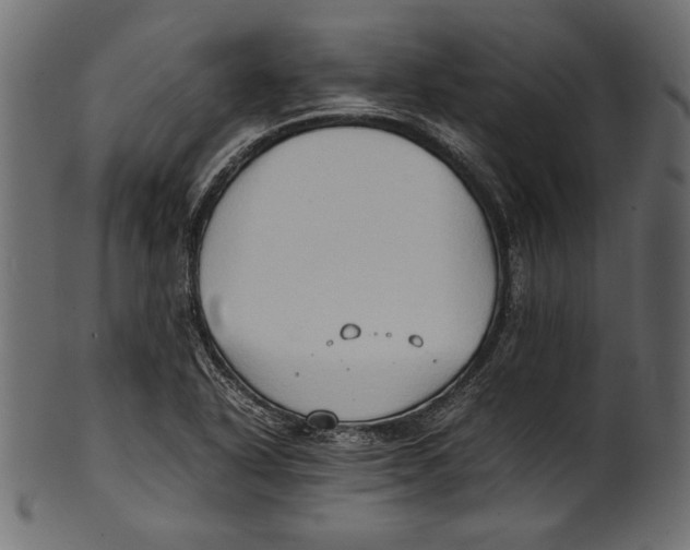 X0000100851318200807181047
