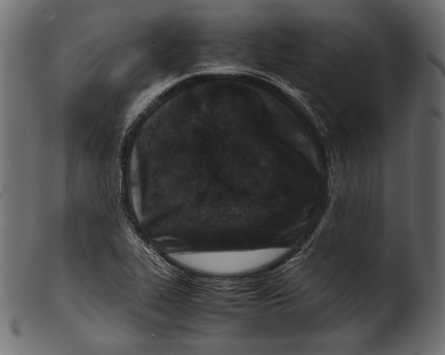 X0000100851319200807181047