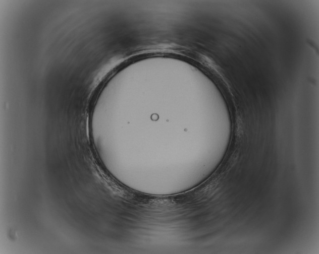 X0000100851320200807181047