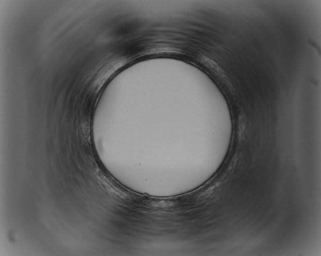 X0000100851321200807181047