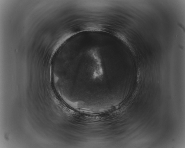 X0000100851323200807181047