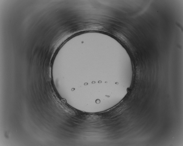 X0000100851324200807181047