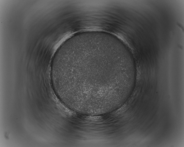 X0000100851325200807181047