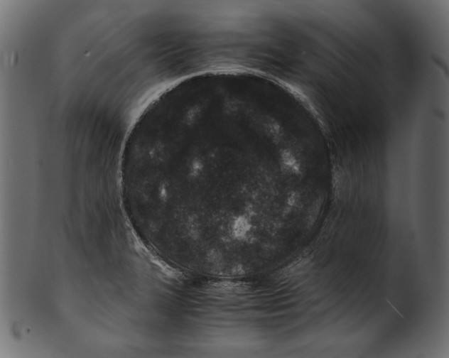X0000100851327200807181047